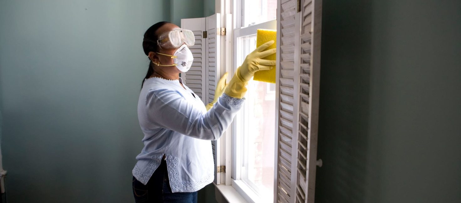 Removing mould with bleach