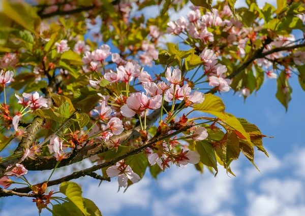 Summer upgrades you can make to your home in 2022