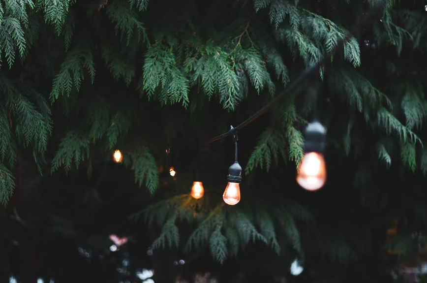 outdoor lights